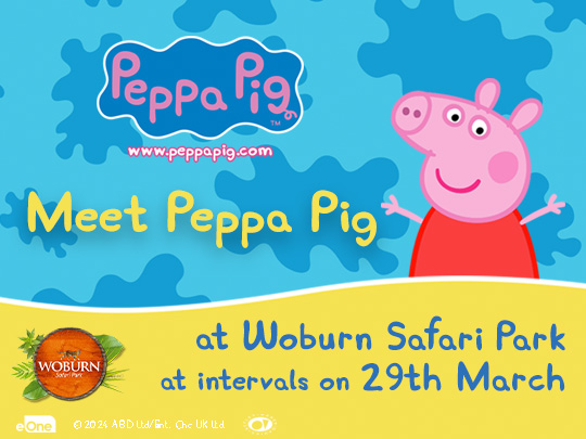 Meet Peppa Pig at Woburn Safari Park