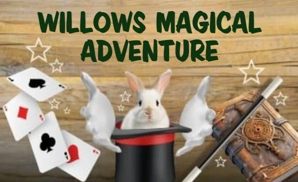 Willows Magical Adventure