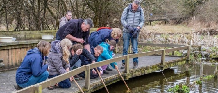 Self-Led Pond Dipping - Easter at RSPB Rye Meads
