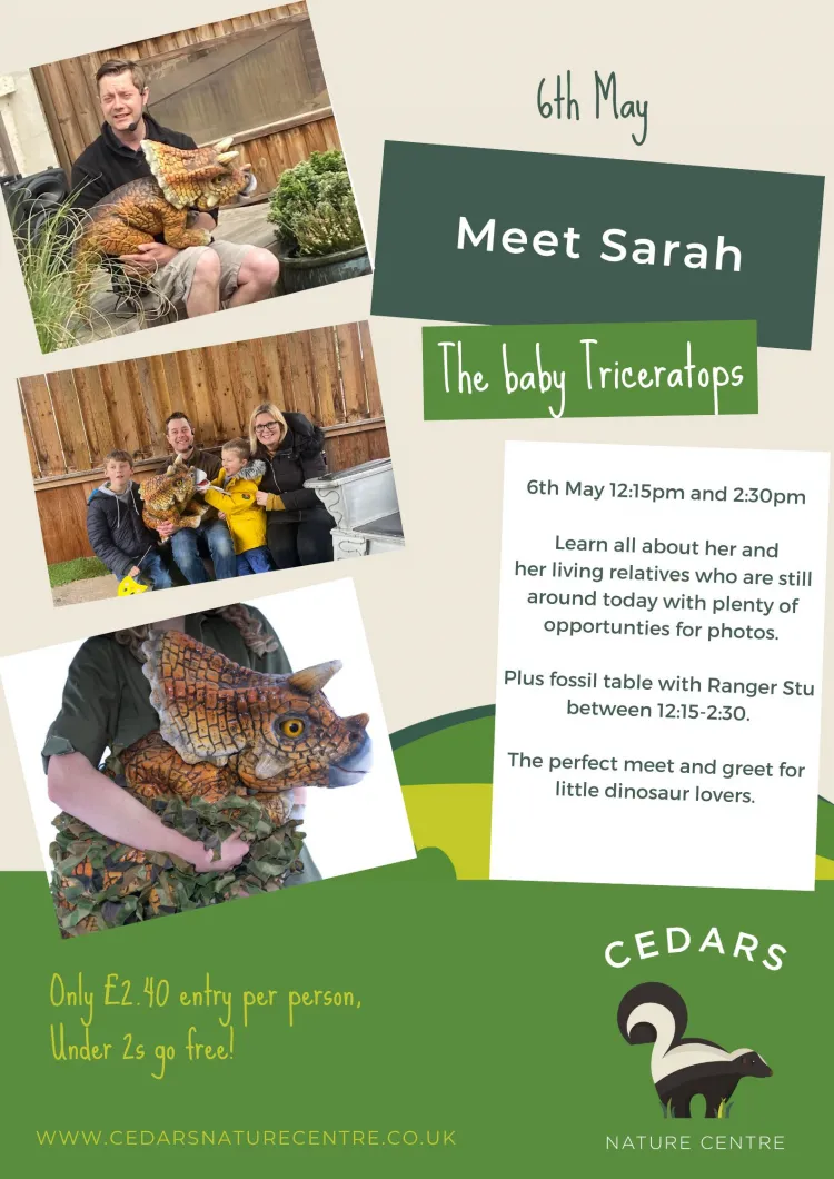 Meet Sarah the Triceratops at Cedars Nature Centre