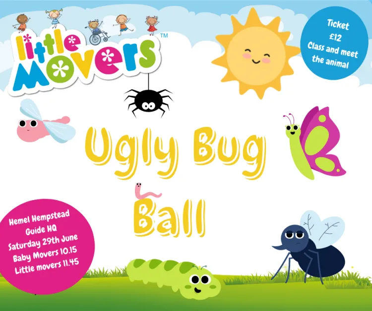 ugly  bug ball
