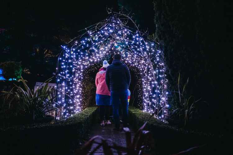 Stockwood Illuminated 2023