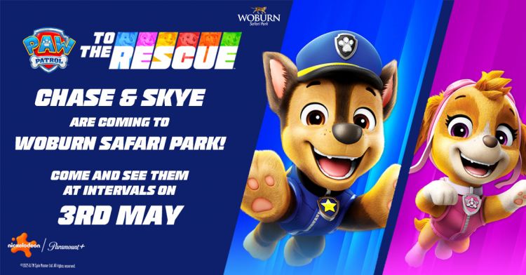 See Chase and Skye at Woburn Safari Park 