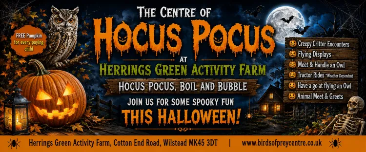The Centre of Hocus Pocus at Herrings Green Activity Farm