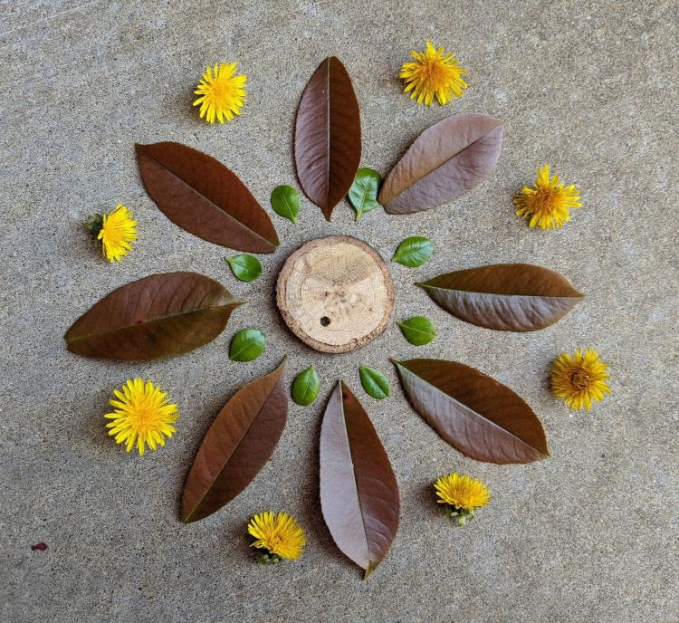 Mindful Mandalas and Music