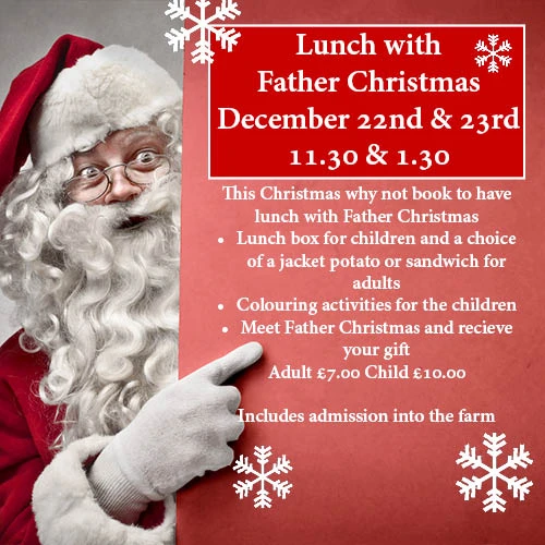 Lunch with Father Christmas at Herrings Green Activity Farm 