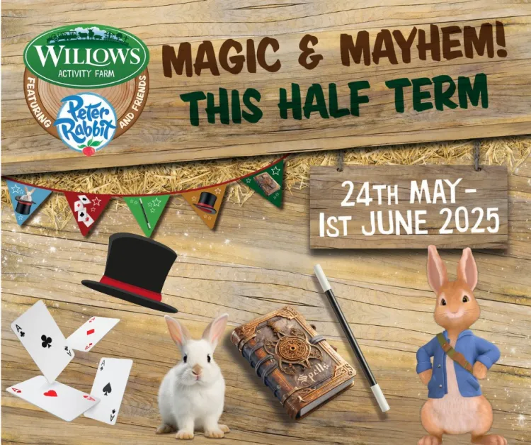 Magic & Mayhem