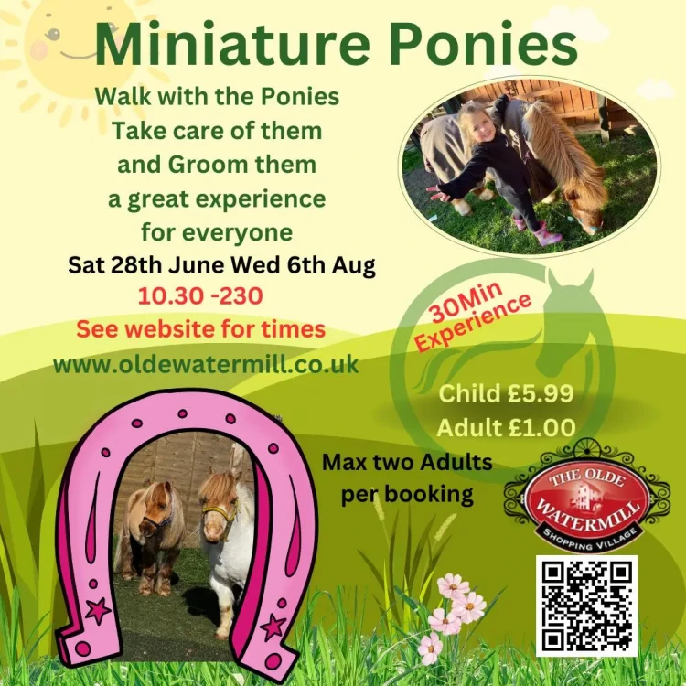The Miniature Pony Day