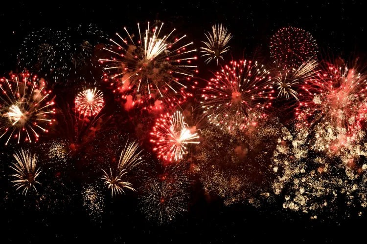 Fireworks Extravaganza for the Garden House Hospice