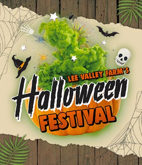 Halloween Festival