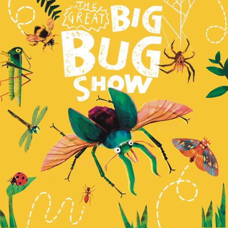 The Great Big Bug Show