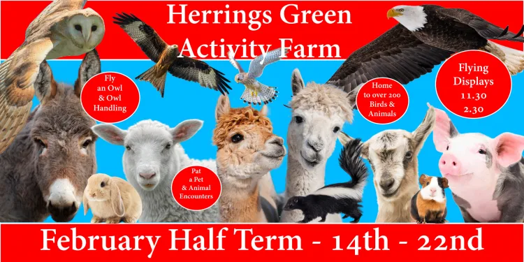Half Term at Herrings Green Activity Farm
