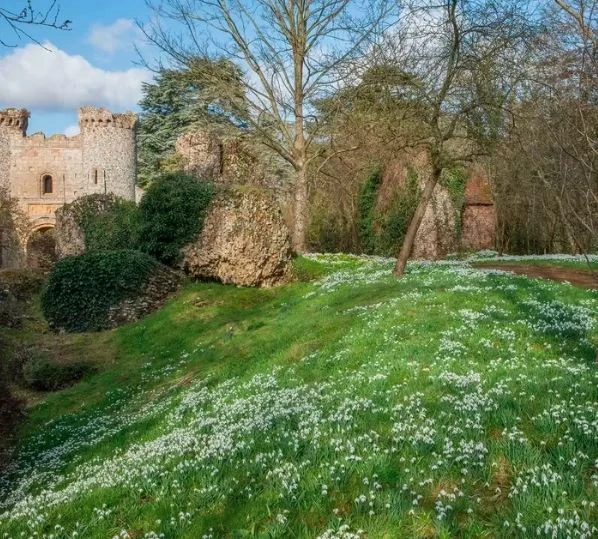 Snowdrops at Benington Lordship Gardens