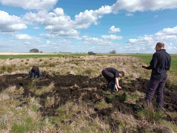 Youth Rangers of the Fens - Practical Conservation Skills in Peterborough