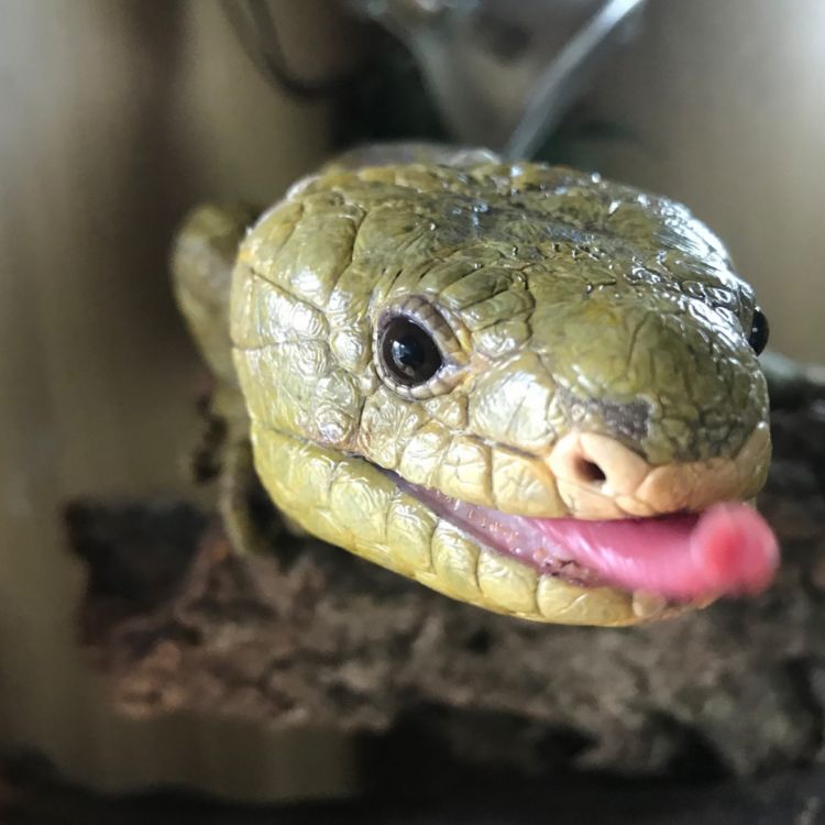 Educational Encounters: Easter Gone Wild