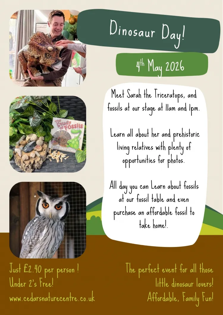 Dinosaur Day at Cedars Nature Centre