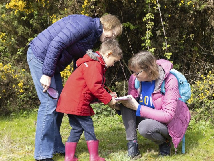Super Senses Summer Trail