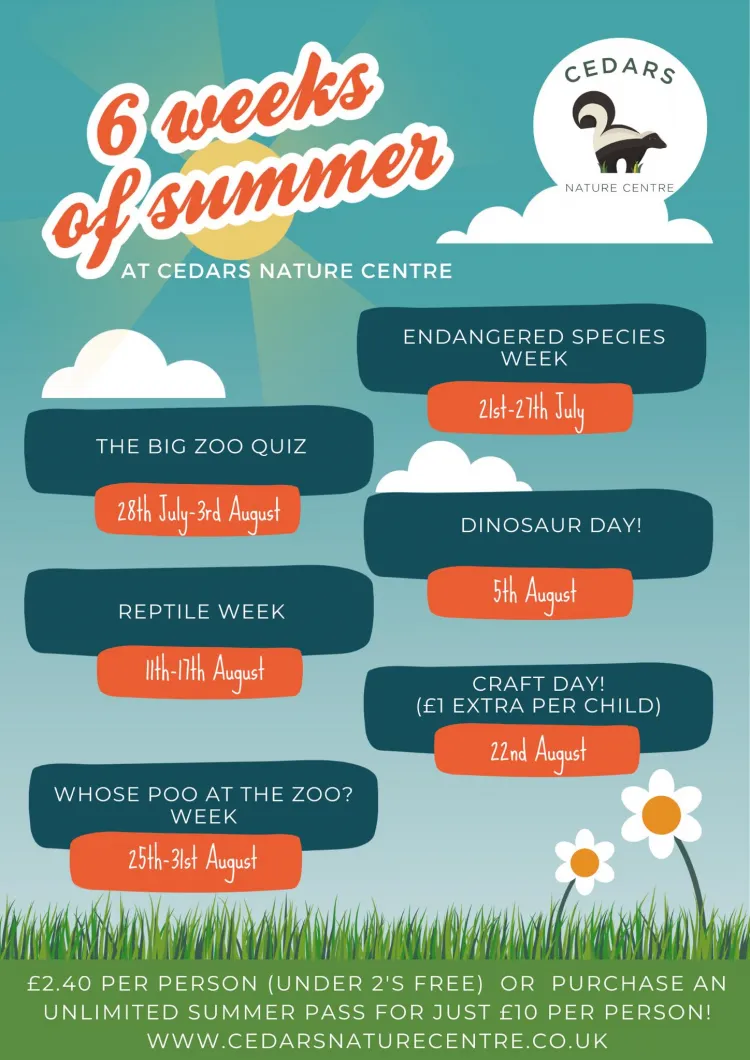 6 weeks of Summer at Cedars Nature Centre 