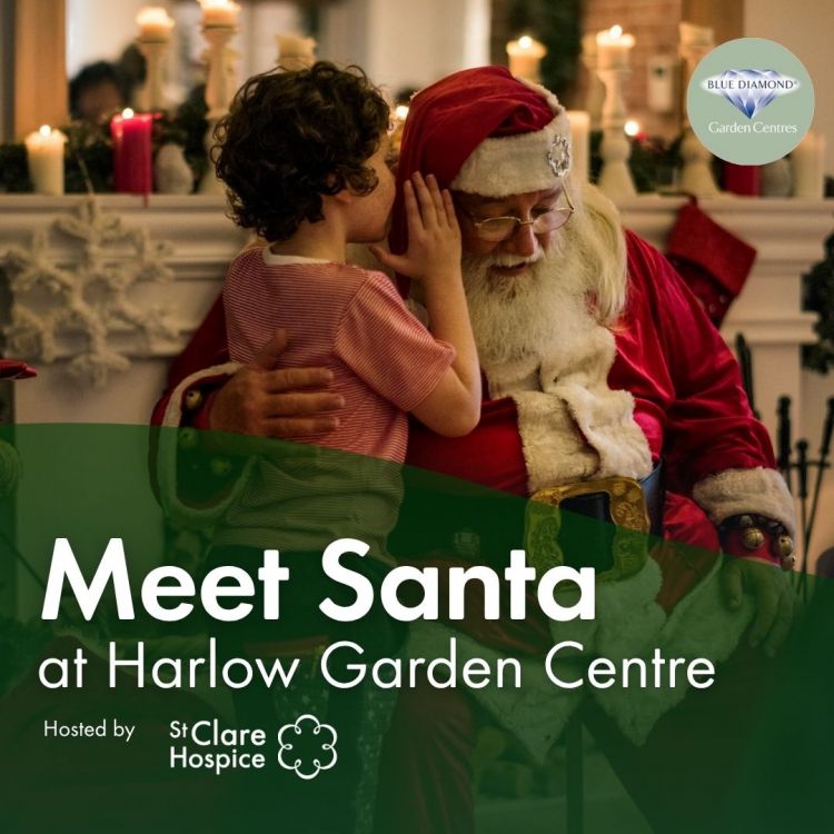 Santa's Grotto at Harlow Garden Centre