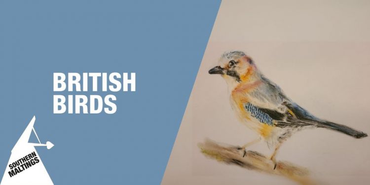 British Birds Sketching Workshop (Age 8+) &ndash; February Half Term Worksh