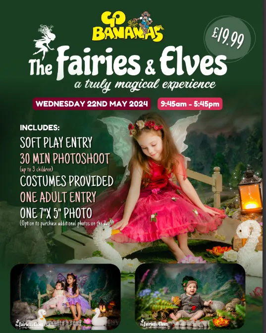 Fairies & Elves