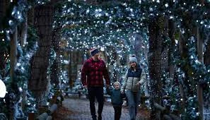 Winter Wonderland breaks at Center Parcs