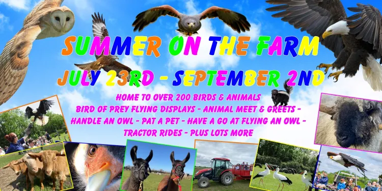 Summer on the Farm at Herrings Green Activity Farm
