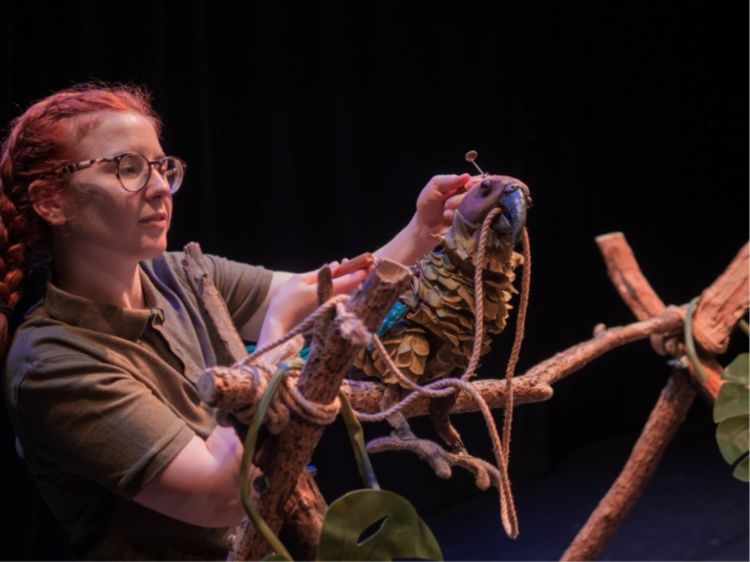 The Zoo That Comes To You