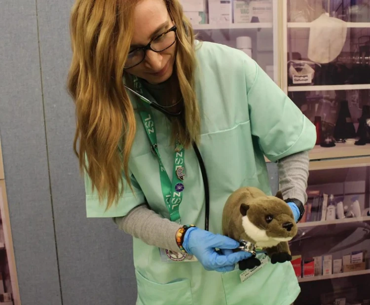 February Half Term: Vets in Action