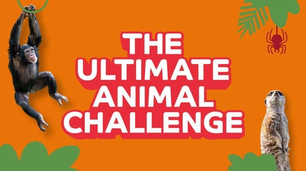 Ultimate Animal Challenge