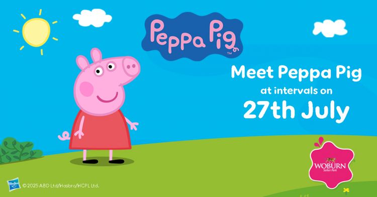 See Peppa Pig