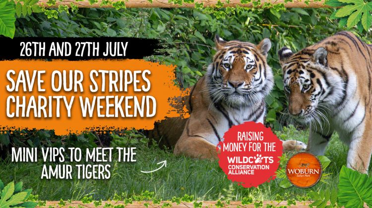 Save Our Stripes Charity Weekend