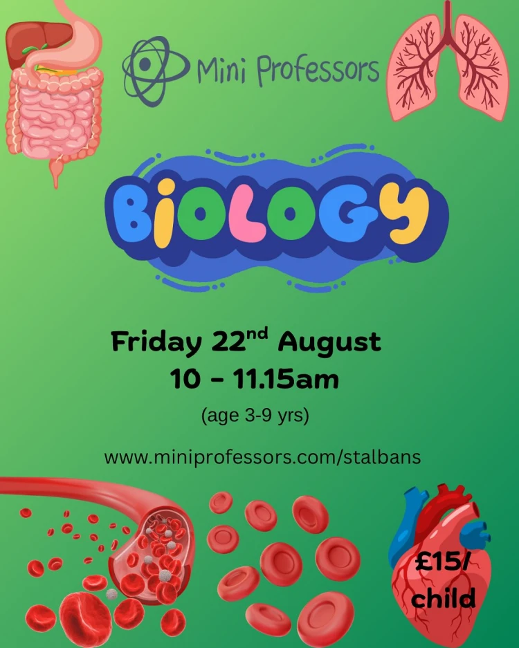 Mini Professors Summer Specials