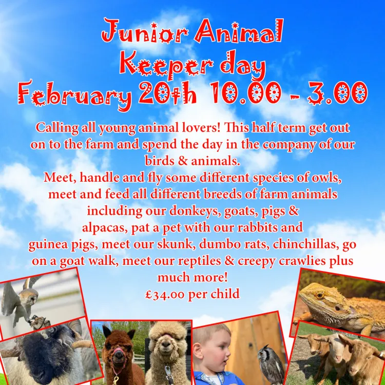 Junior Animal Keeper Day