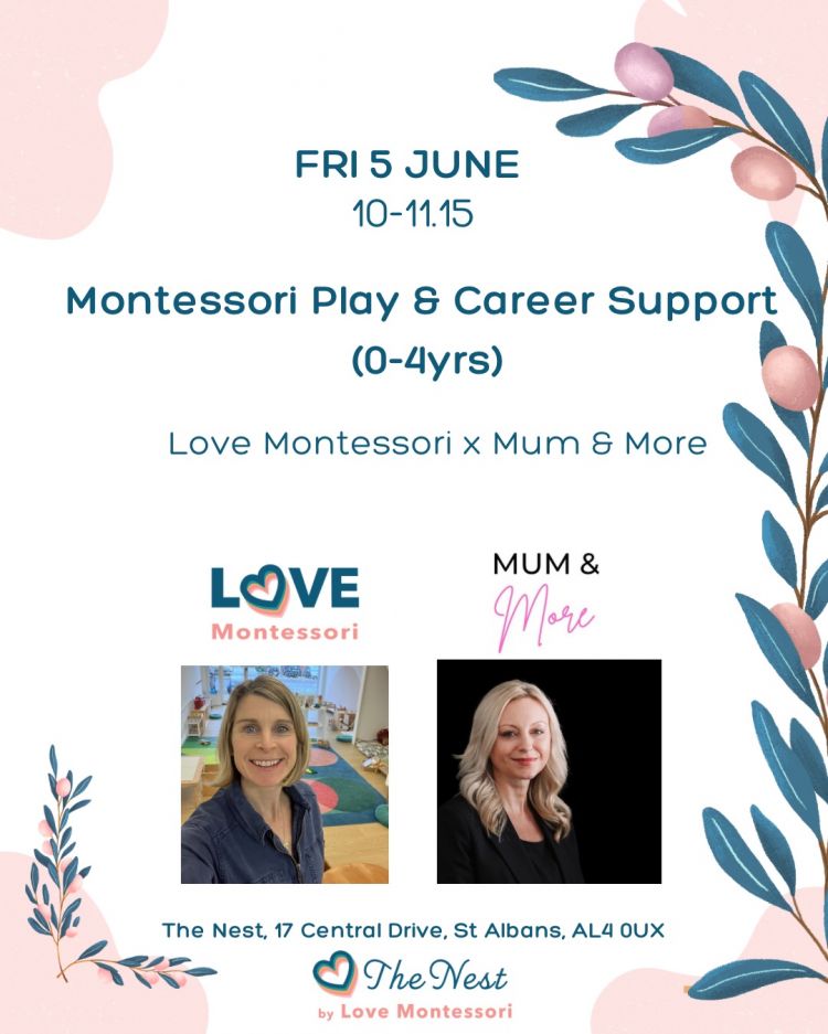Montessori Play + Career Support