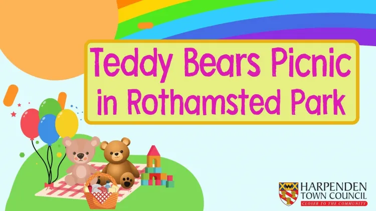 Teddy Besr's Picnic