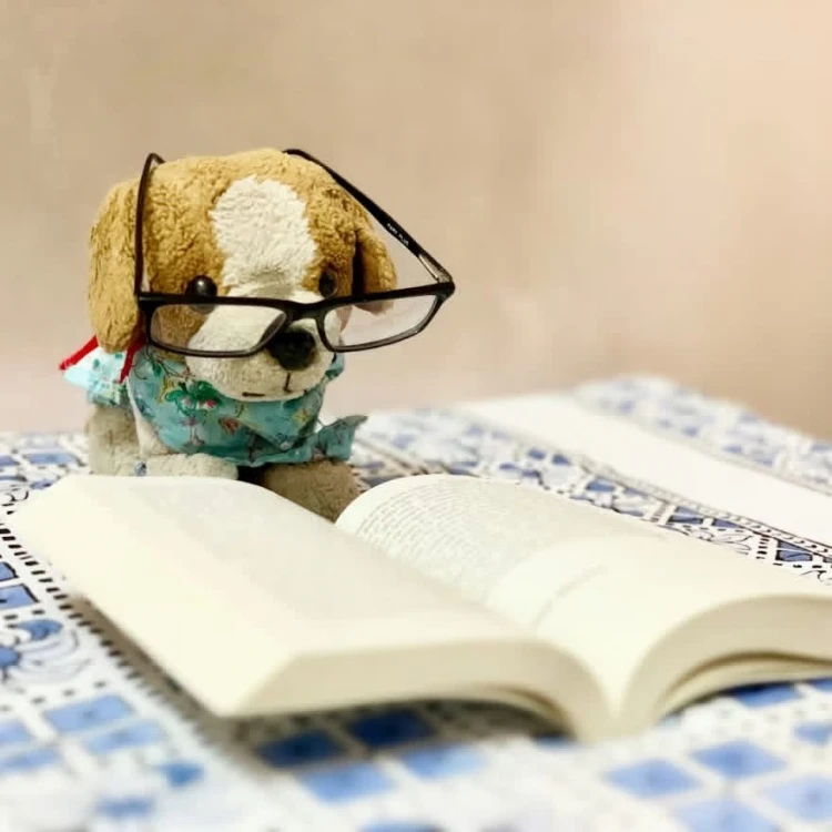 Pets as Therapy Read 2 Dogs