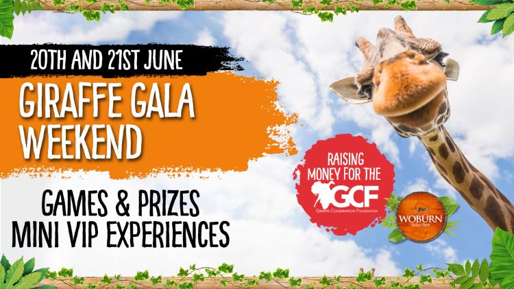Giraffe Gala Weekend