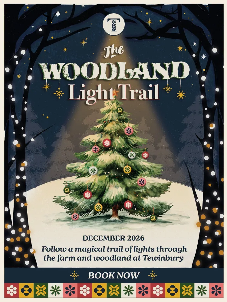 Tewinbury Woodland Light Trail