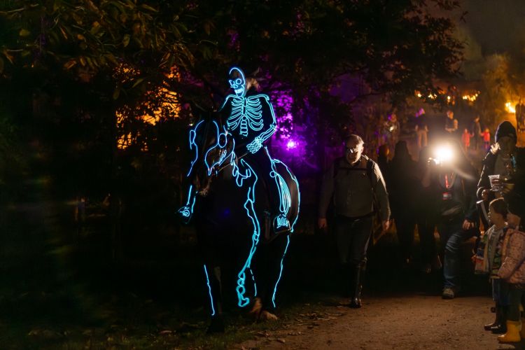 Halloween Spectacular