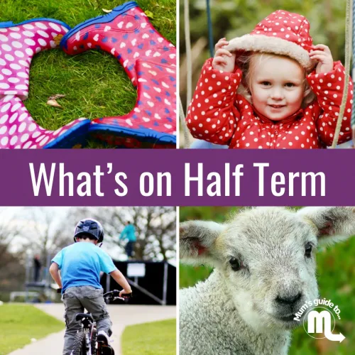 Mum's Guide to Hertford