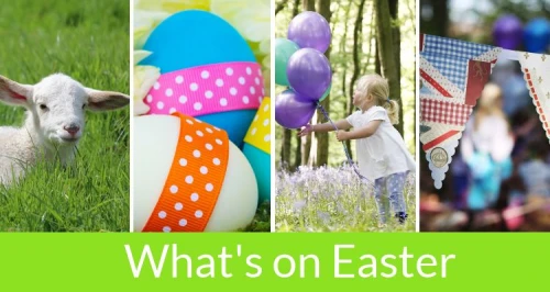 Mum's Guide to Hertford