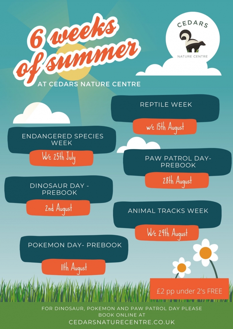 The Summer of Fun at Cedars Nature Centre 
