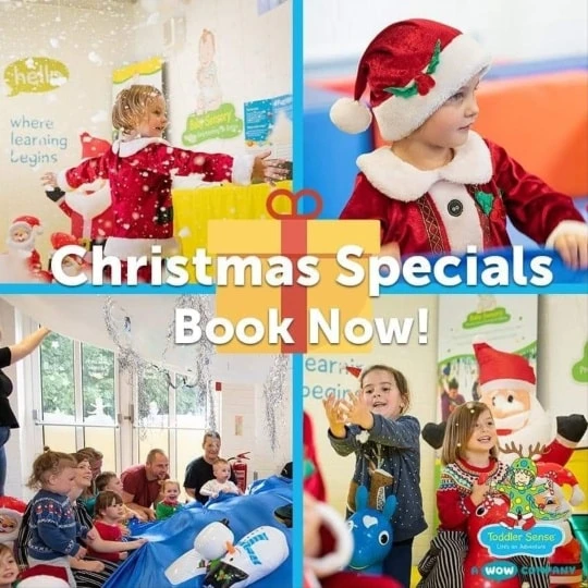 Toddler Sense East Herts Christmas Party