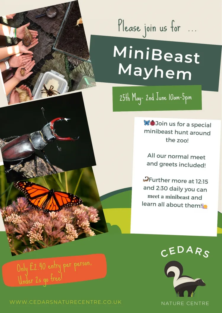 Minibeast MAY-hem at Cedars Nature Centre