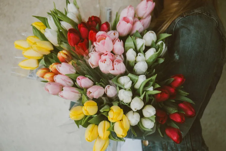 Pick your own tulips at Bury Lane Farm
