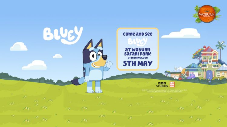 Come along and meet Bluey 5th May