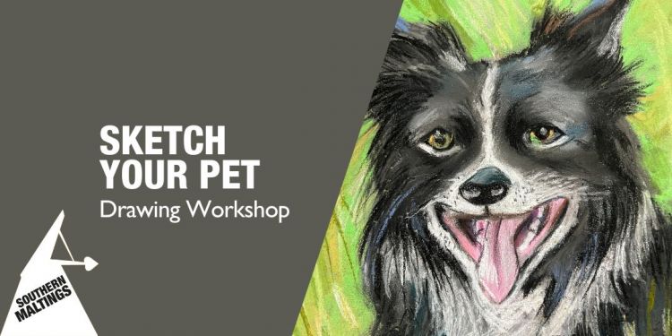Sketch your Pet Workshop (Age 11 ) – May Half Term Workshops