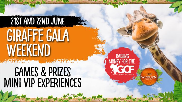Giraffe Gala Weekend 21st - 22nd June 