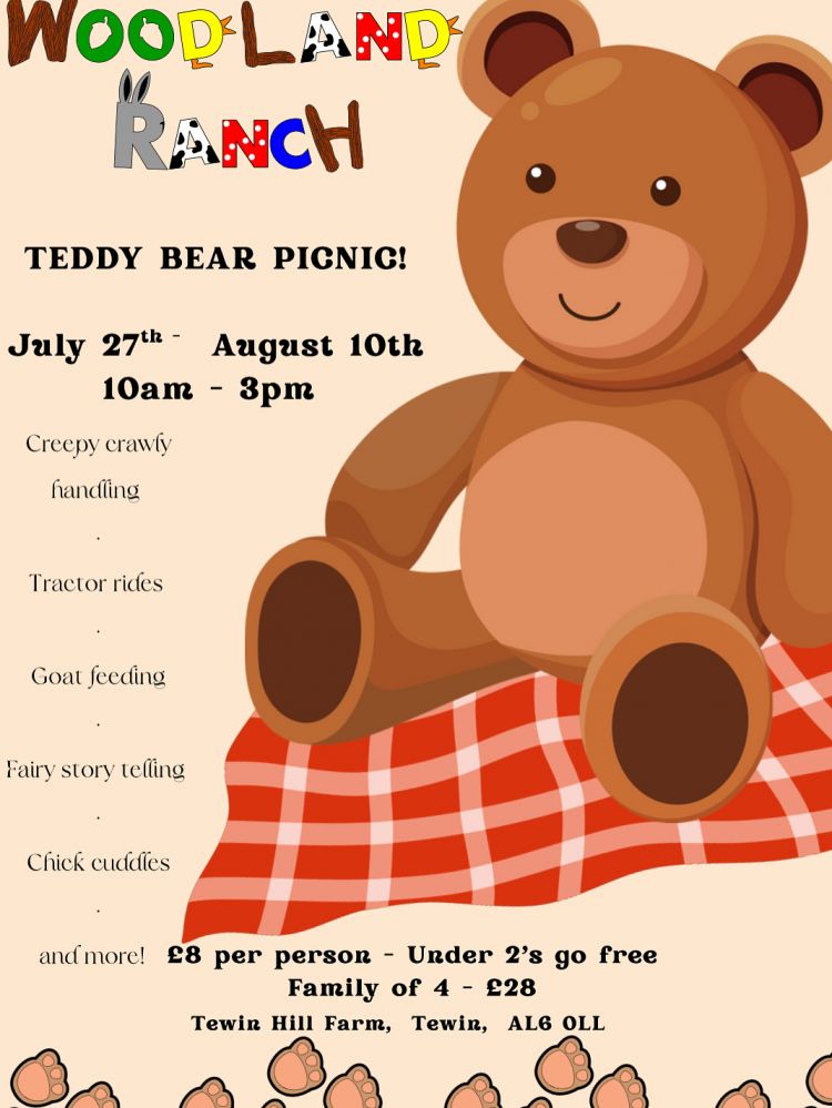 Woodland Ranch Teddy Bear Picnic